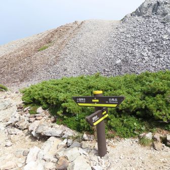 新潟、富山、長野の県境の三国境･･･この辺りで雷鳥が出てこないかと期待したが･･･🐤