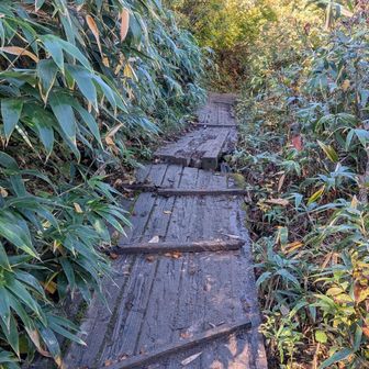 ここの木道は滑りやすくなっていて傾斜もあったので一歩一歩慎重に！