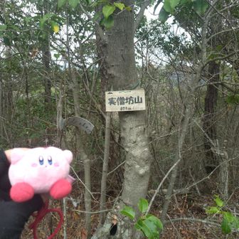 実僧坊山は札あった！