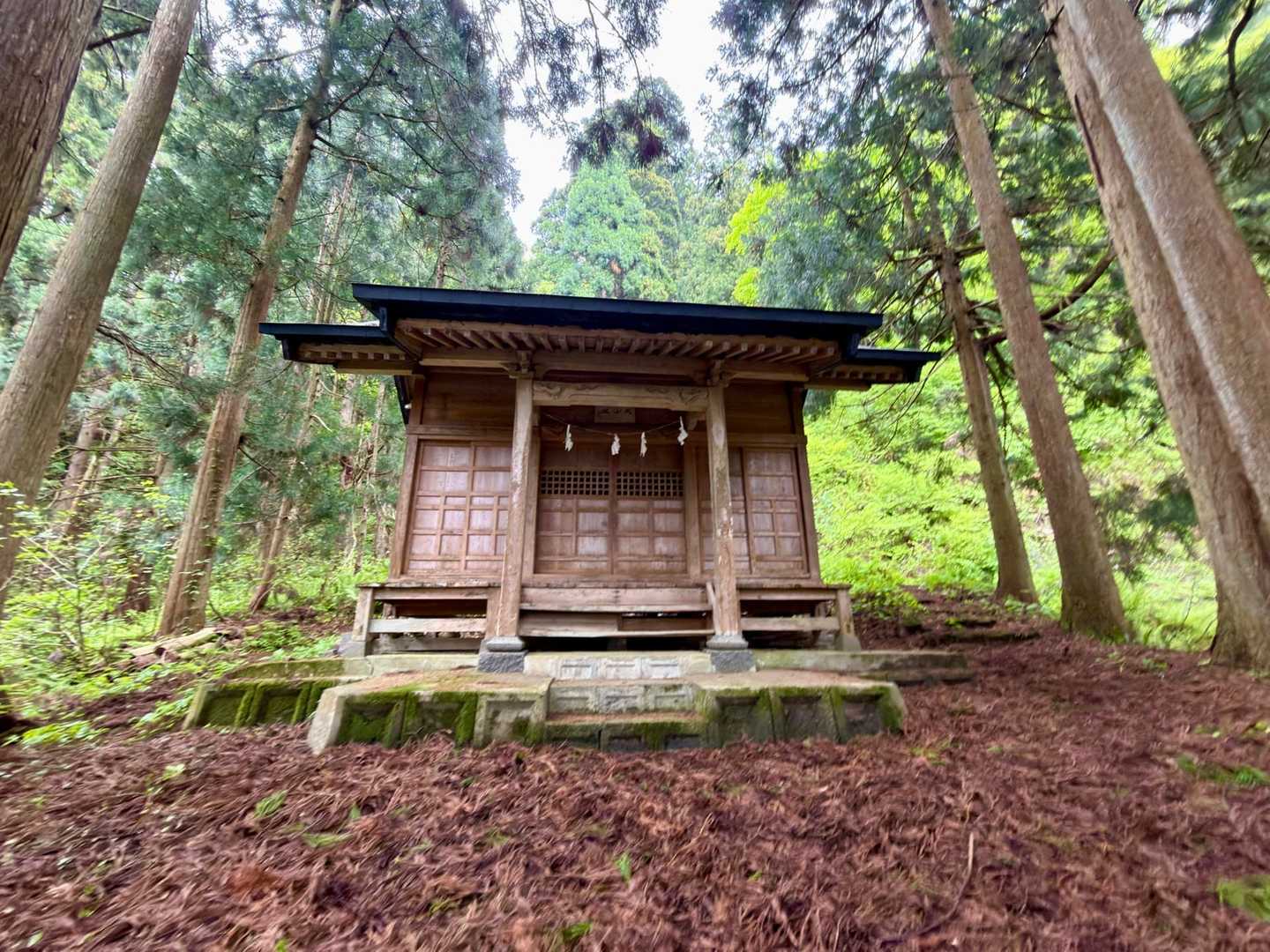 山の神様に御挨拶