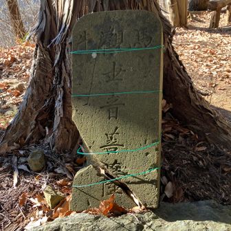 牛と馬の観世音菩薩を祀っていました