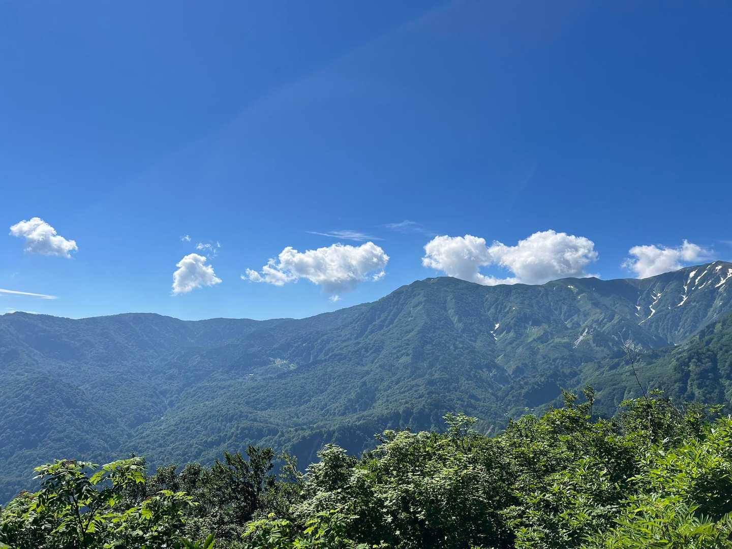 樹林帯を登って行くと、この景色
よく見ると〜