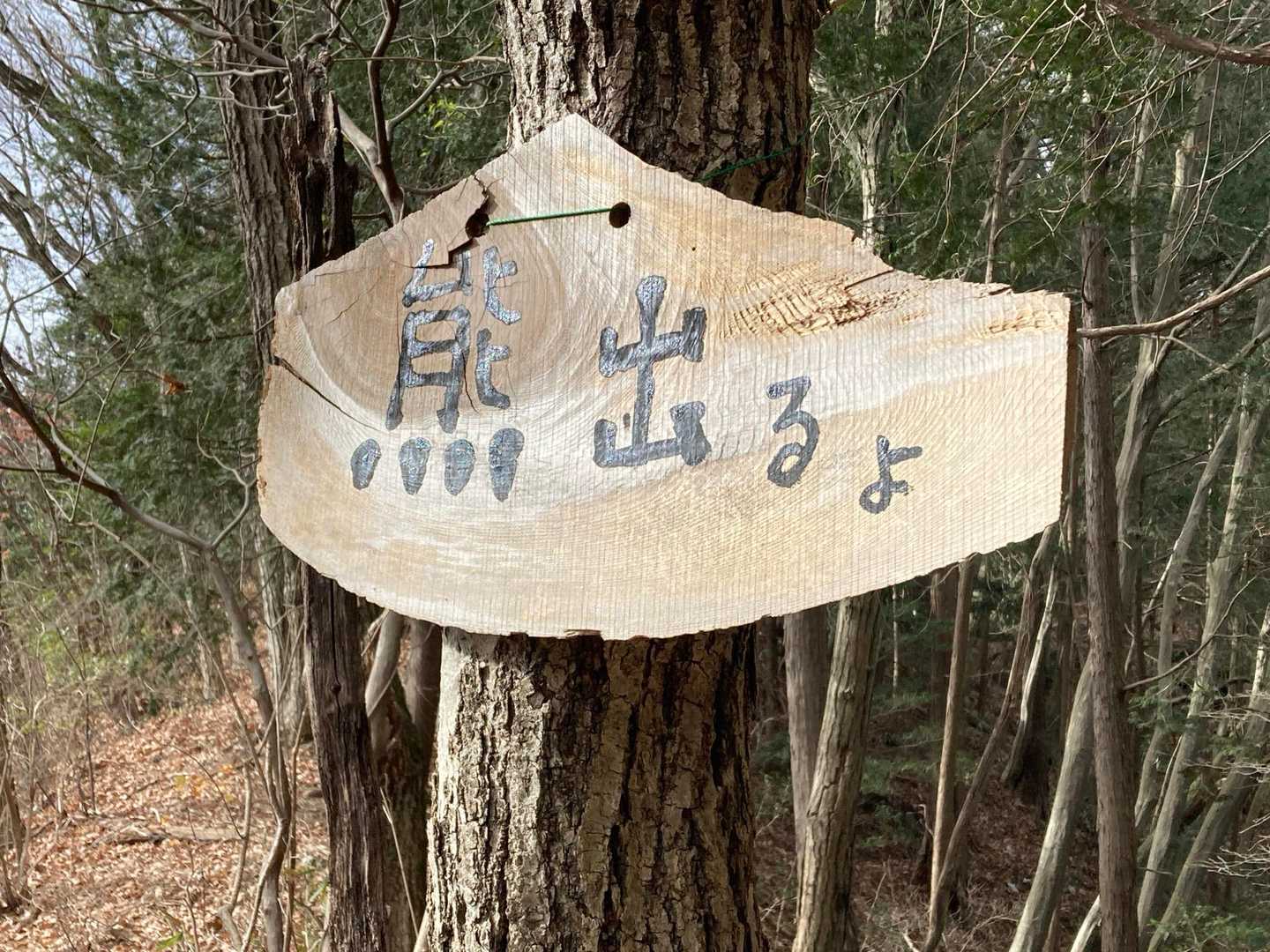 ⚠️二日前に
中篠井公民館に🐻出没報道あり
心配したが、、、。

🟢今日は安全に山歩出来ました😄。
ありがとうございました。