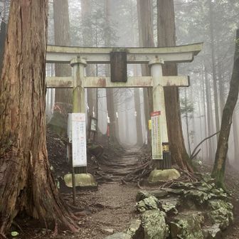 一礼して奥宮への1つ目の鳥居を潜ります。