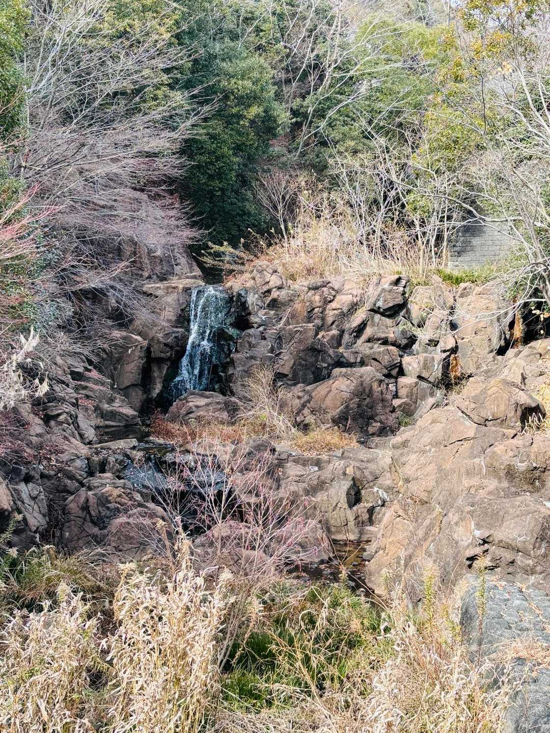 最後に小さな滝🎶