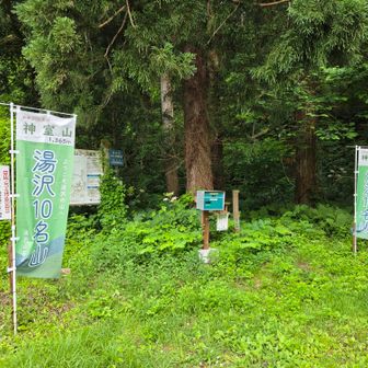 役内、パノラマコースより
誰もいなかった