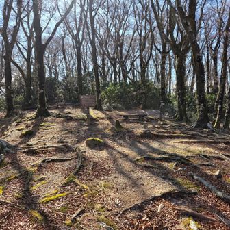 小岳山頂（1,360m）