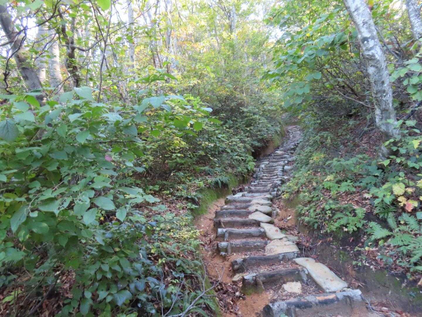 二王子岳登山口-一王子神社-定高山-三王子神社-二王子岳- 往復コースの写真