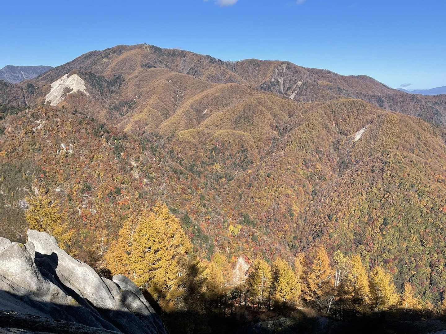 素敵な紅葉で、ため息が出ます😍