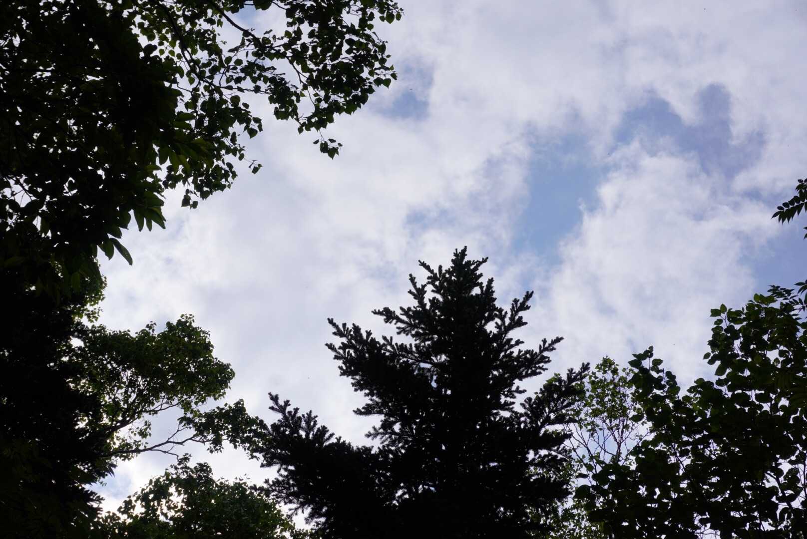 暑くなりそう