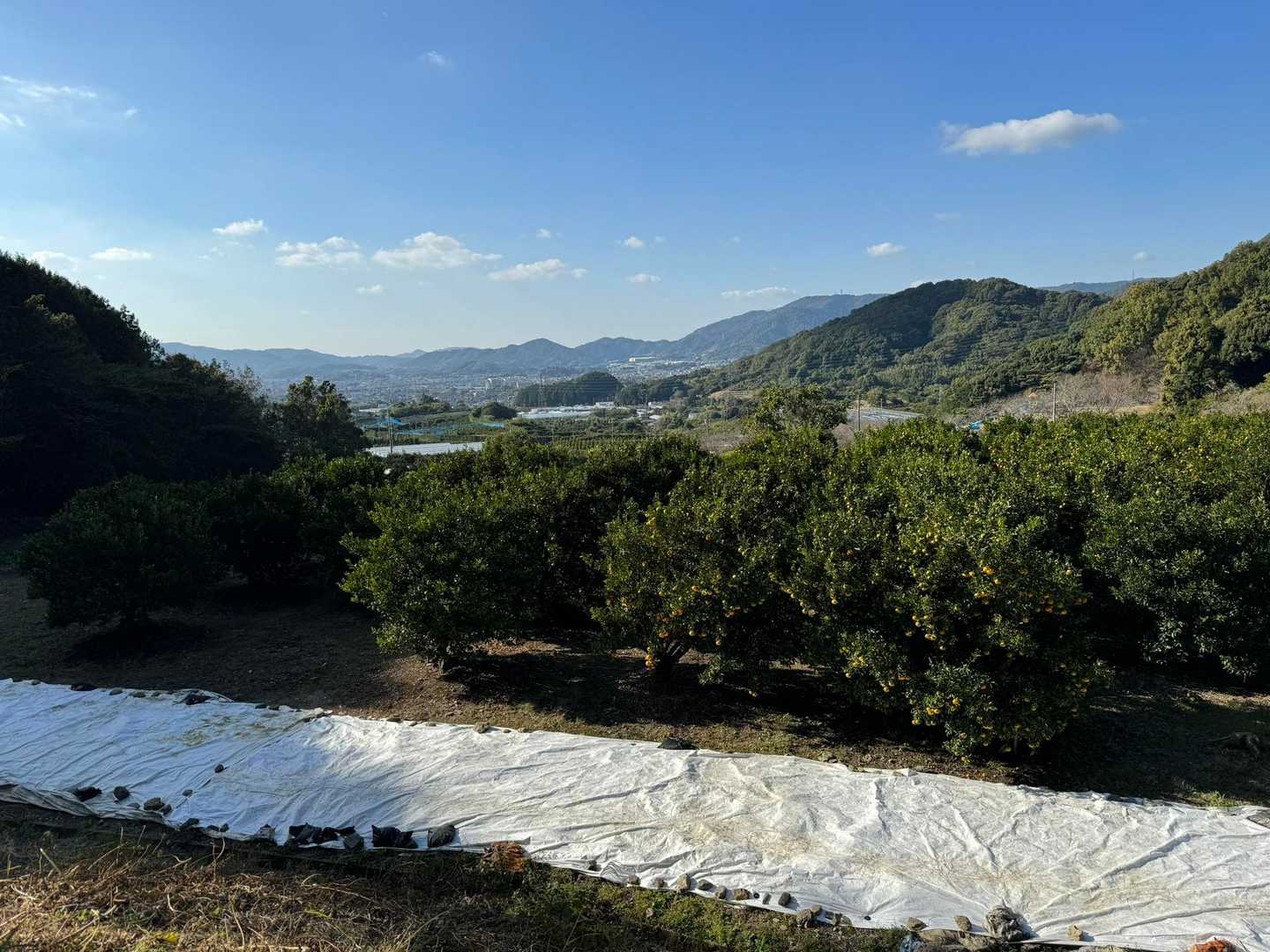 砥神山登り口-砥神山 往復コースの写真