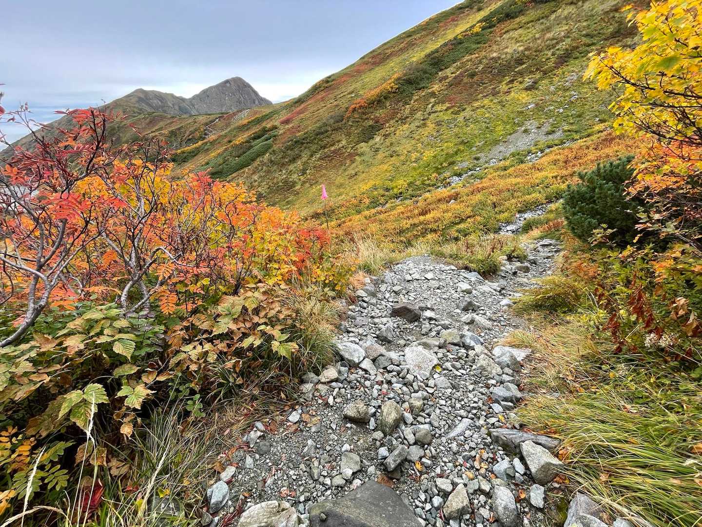 別山-室堂登山口 縦走コースの写真