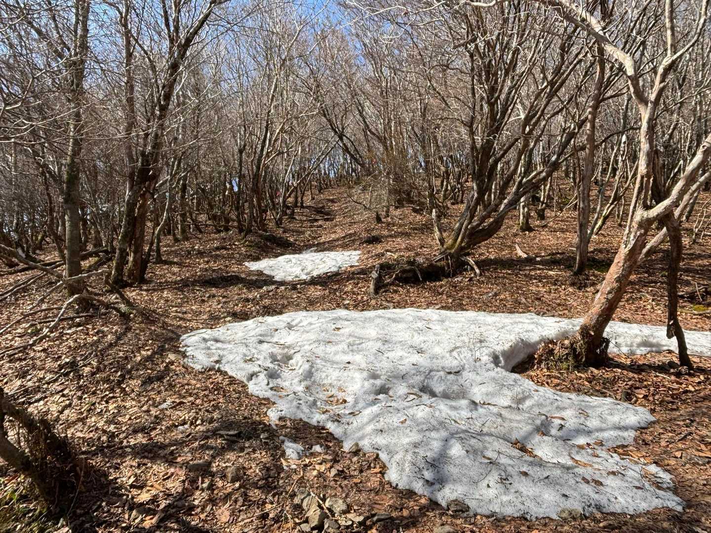 霧氷🧊樹氷があれば最高でしたけど、この辺りから景色はとてもいい道です。