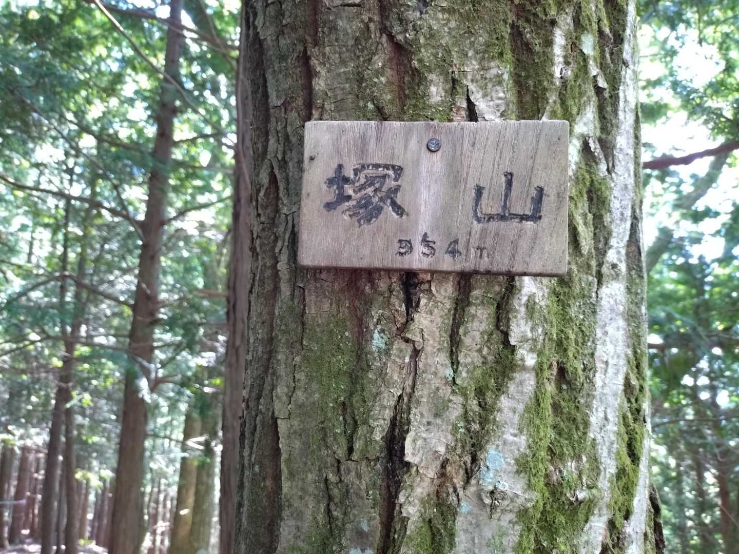 目的地到着