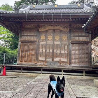 日本武尊がこの地で崩じられ、陵を築き葬り
聖武天皇の勅命で社を建立し磯崎大明神と称したそう
御神紋が十六の菊で🌼由緒ある神社です⛩️