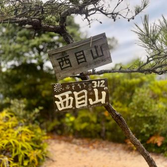 サンチヨー標記