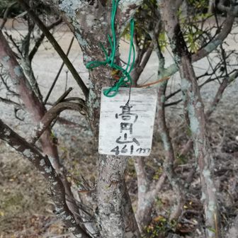 雪の高円山、即Uターン🌨️