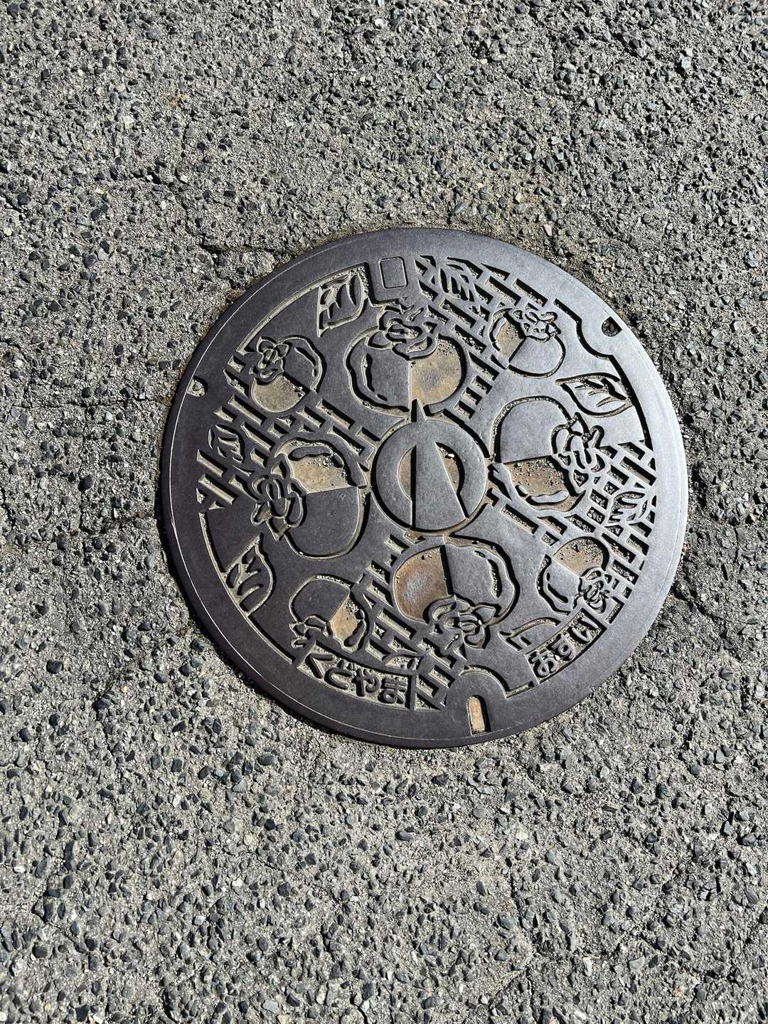 九度山町のデザインマンホール
富有柿です