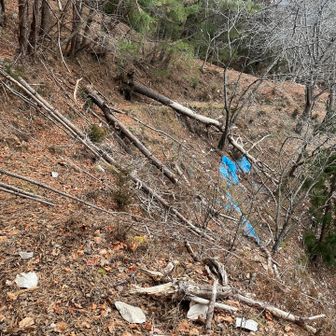 ちょっと道間違えしたら、恐ろしいところに出ました😱