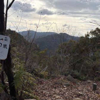 平家ヶ城
頂上着きました。
山頂手前は少し急登でした