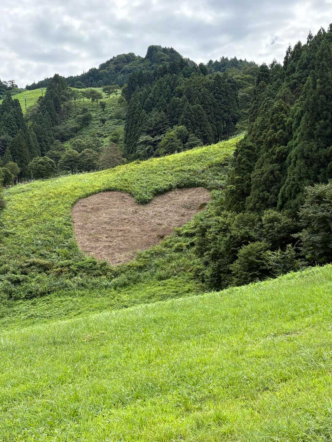 瀬戸蔵山 往復コースの写真