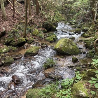 サングラス事件が無ければ
川でちゃぽちゃぽしたのに。
