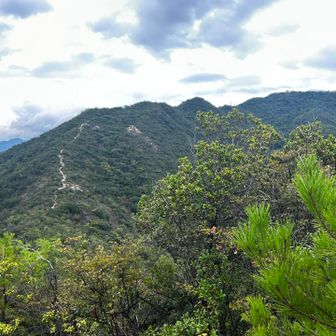 まだ山頂は遠い😱