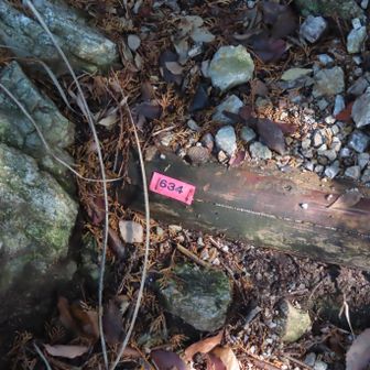 最後の階段No.634
髙木山の階段は777段
