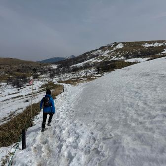 雪あるね〜❄️