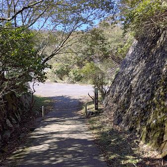 駐車場に降りてきました