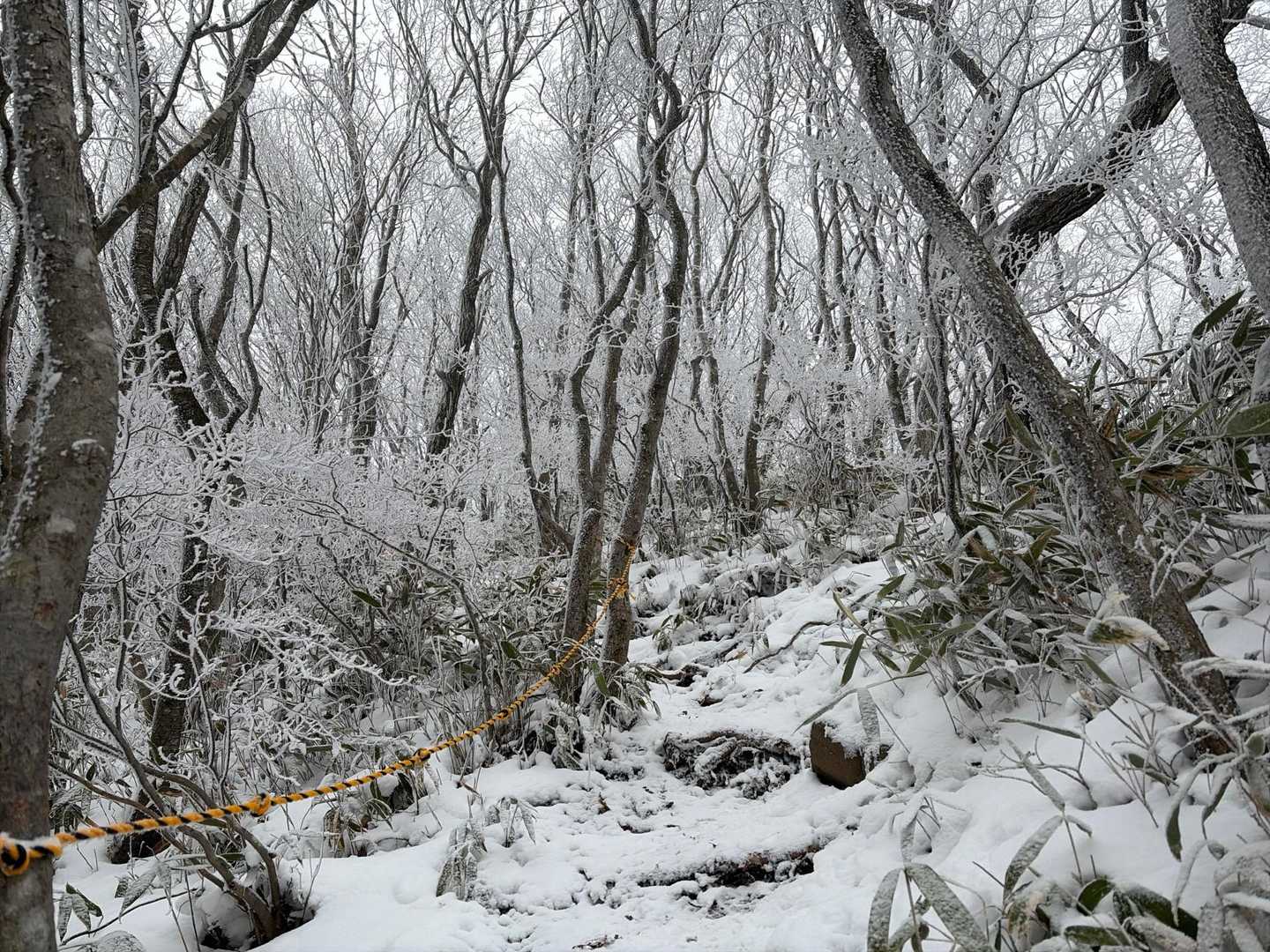 白の世界✨