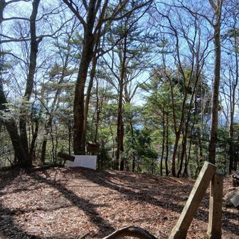 眺望は、あまりありません