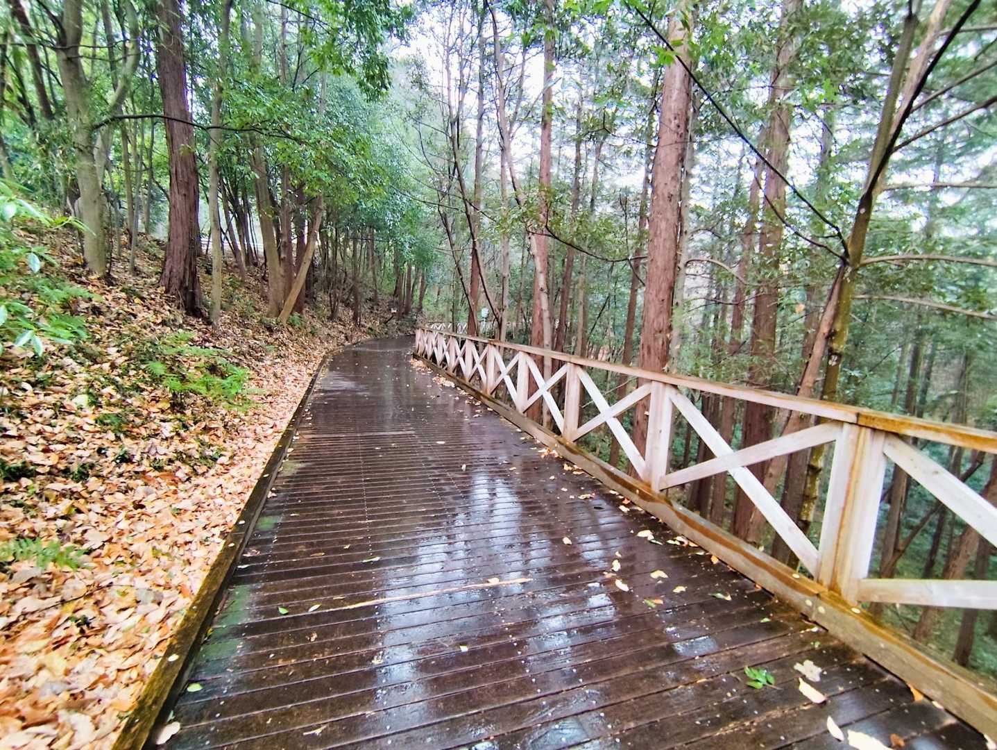 ひびき橋方面へ向かいます…
ウッドデッキ風の遊歩道ですが　雨で濡れると滑ります🤸