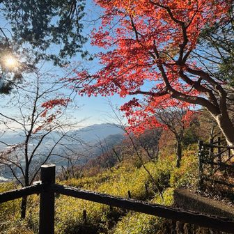 気持ち良い景色の側で食べられます