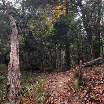 46　地蔵ヶ谷山　227.6m
No.28