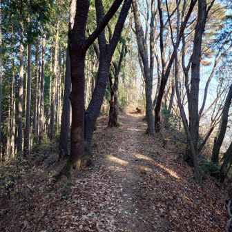 それまでのことを思えば、ハイウェイのような道です😃