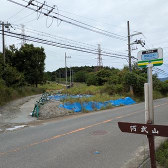 工事現場の工事用車両の入り口みたいな裏口登山口

普通は南面の大和の登山口からかな？