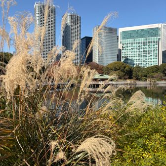 晩秋がひしひしと…