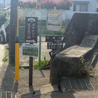 道路に降りてきた
この少し前、急登あり…