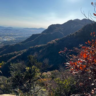 朝登った右田ヶ岳😊
手前の三谷山の稜線の向う側の谷筋を上がってきたことになる。
