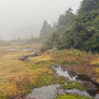 花之江河（はなのえごう）
以前は花でいっぱいでした。今は日本最南端の湿地帯が残るのみです。