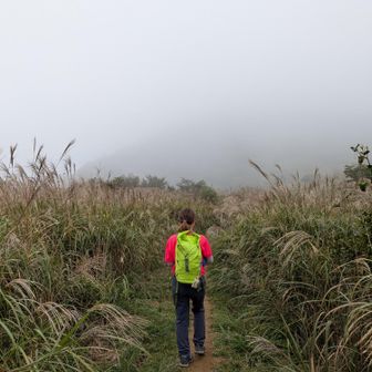 ガスって見えないけど向こうには福智山山頂が。
見えてたら「また登るの〜？」って言葉に出してたかも
見えなくて正解、知らぬが仏