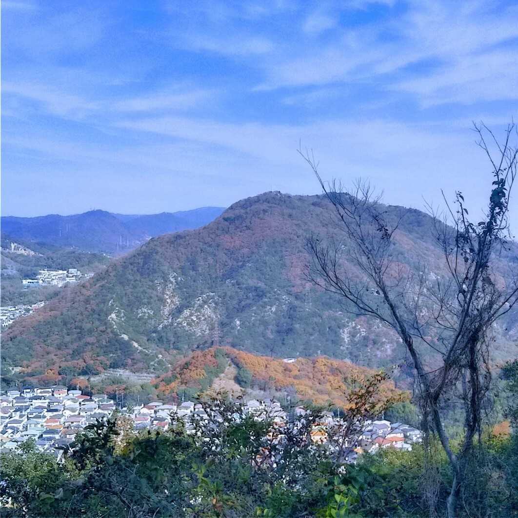 東山の写真