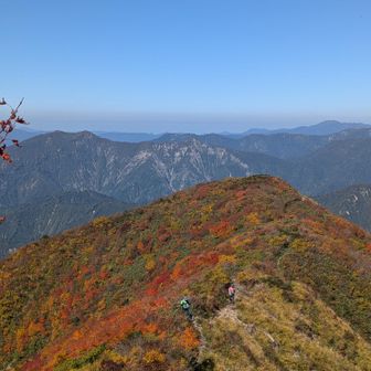 山頂付近から見下ろしたこの眺望は、同じ写真を何枚も撮ってしまいたくなるくらいの絶景🍁(笑)