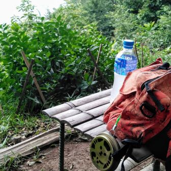 ドングリころり