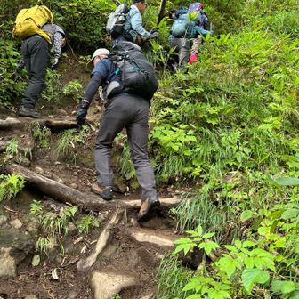 激急登です