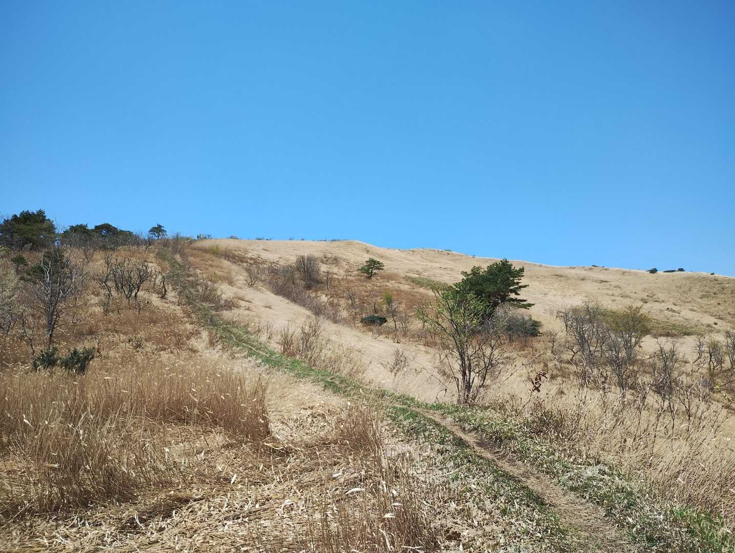 三平山山頂を振り返ってみる。