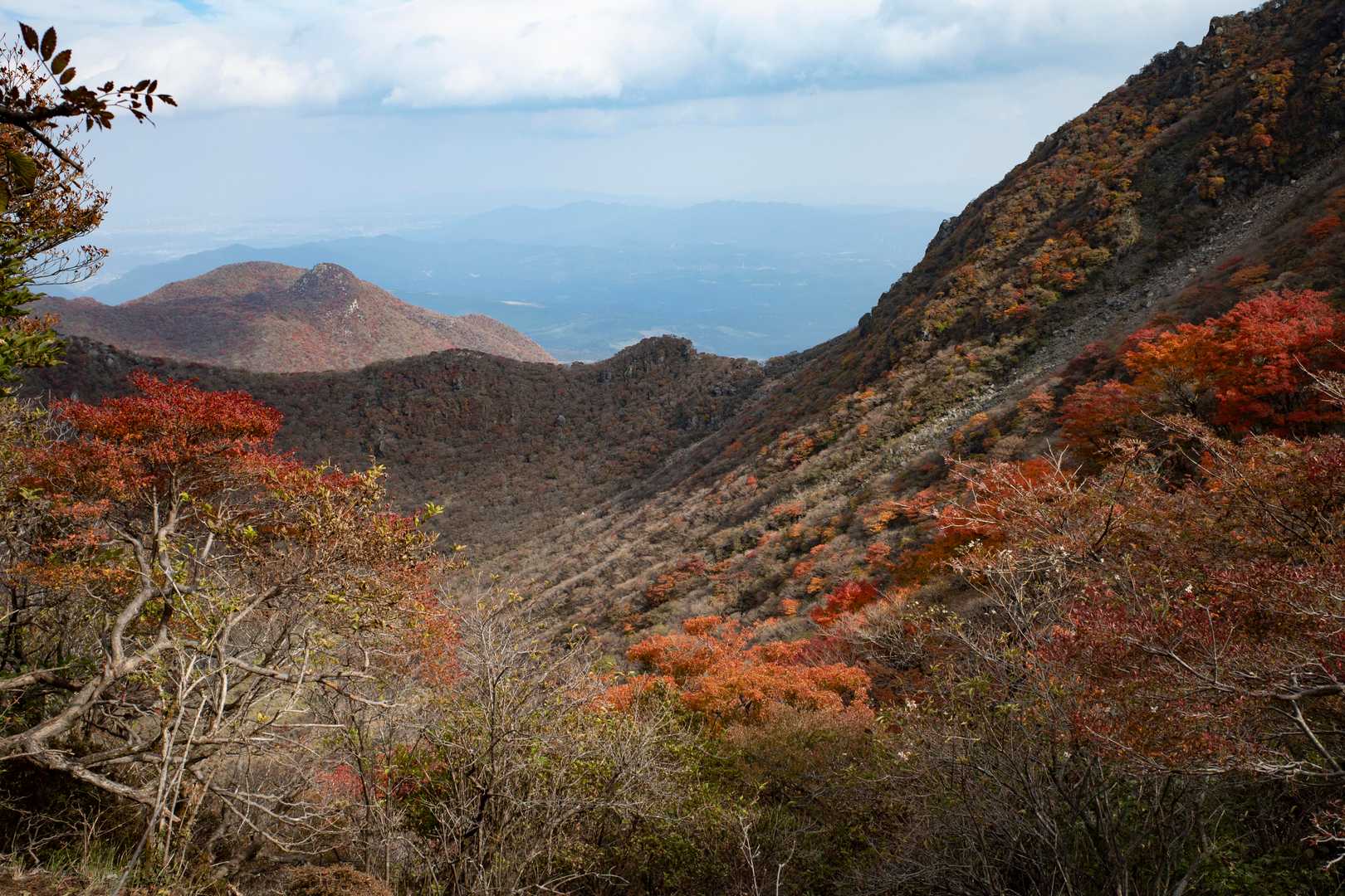 大船山往復 | くじゅう横断。森林・草原・展望をすべて楽しもうの写真