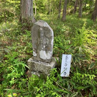 石仏が所々に立っています。全部で33体です。