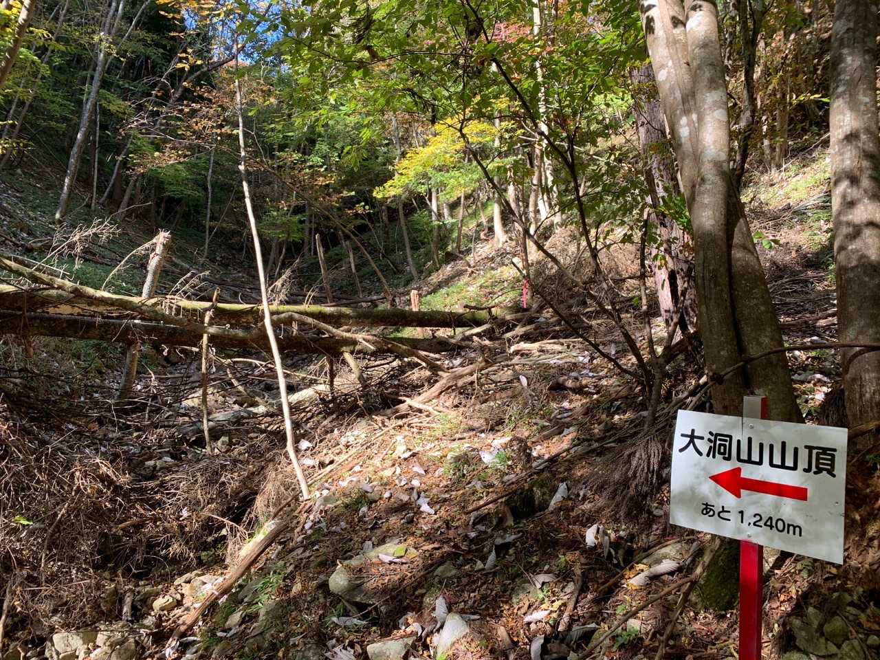 表示は山頂までの距離を示してます。